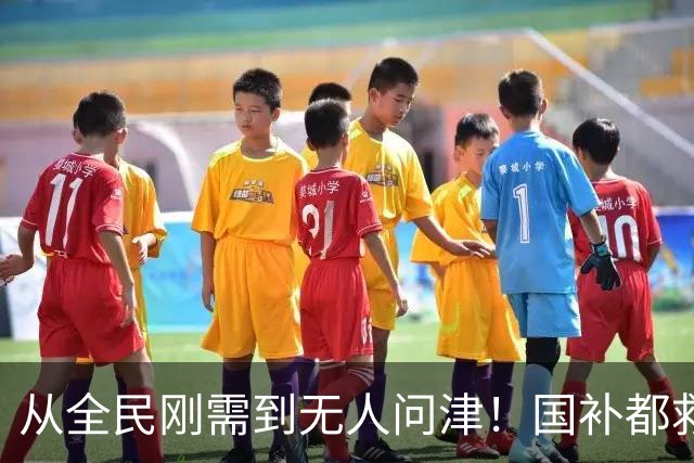 从全民刚需到无人问津！国补都救不动的电视，背后真相特别现实了