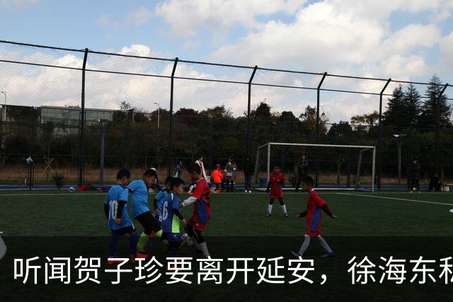 听闻贺子珍要离开延安，徐海东私下找她坦言：老同志会一直记得你