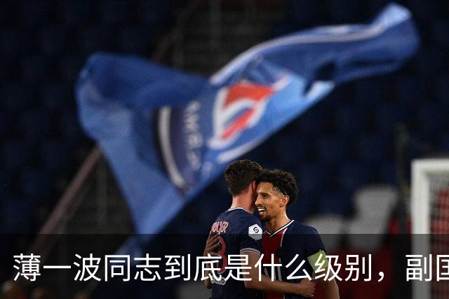 薄一波同志到底是什么级别，副国级？还是正国级？